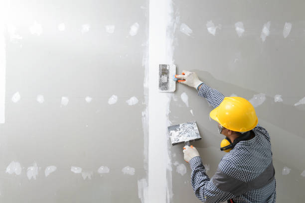 Best Post-Construction Mold Inspection  in Covington, KY