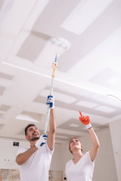 Covington, KY Mold Removal Company