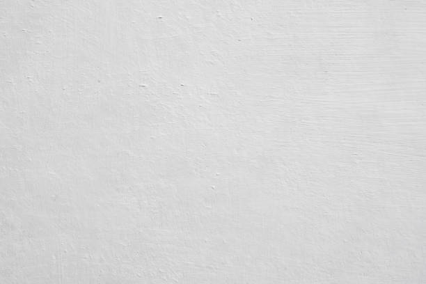 Best Mold Remediation for Vacation Homes  in Covington, KY