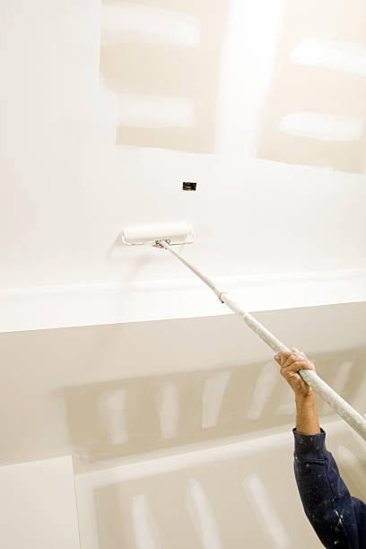 Best Mold Remediation for Healthcare Facilities  in Covington, KY
