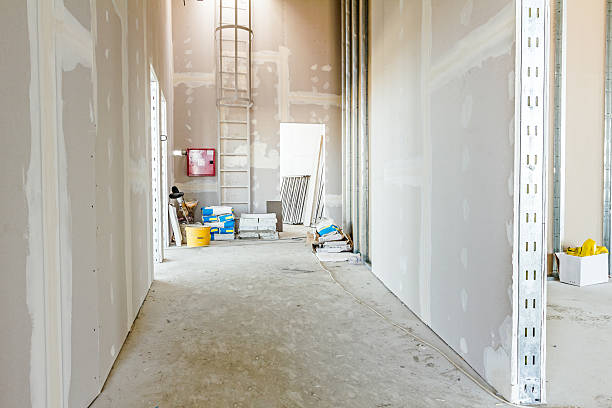Best Crawl Space Mold Remediation  in Covington, KY